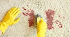 4 Tips membersihkan karpet yang harus anda ketahui!