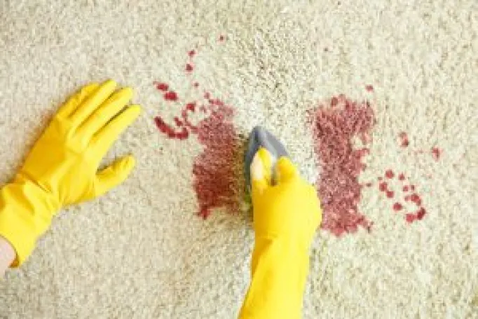 4 Tips membersihkan karpet yang harus anda ketahui!