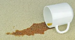Anda menumpahkan Kopi di karpet dan timbul noda — Apa yang harus dilakukan?