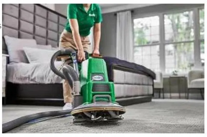 DO I NEED PROFESSIONAL CARPET CLEANING?