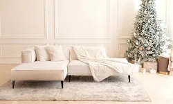 ~blog/2025/3/10/area rug holidays
