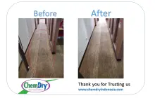 Carpet Cuci Karpet Koridor Kantor Eksekutif 1 ~blog/2025/6/25/cuci_karpet_koridor_kantor_eksekutif