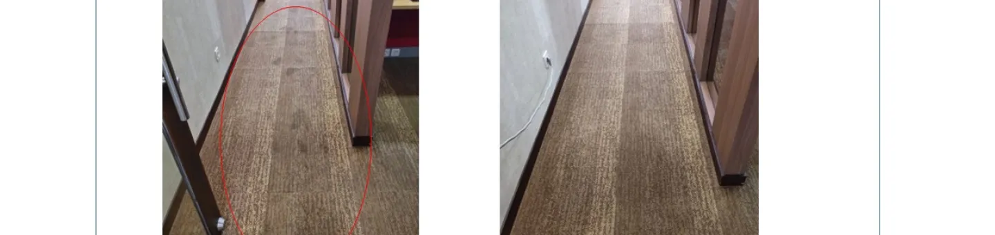 Karpet Koridor Eksekutif